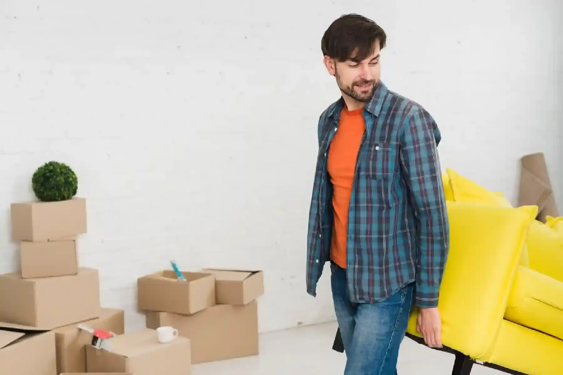 Albion Park Removalists