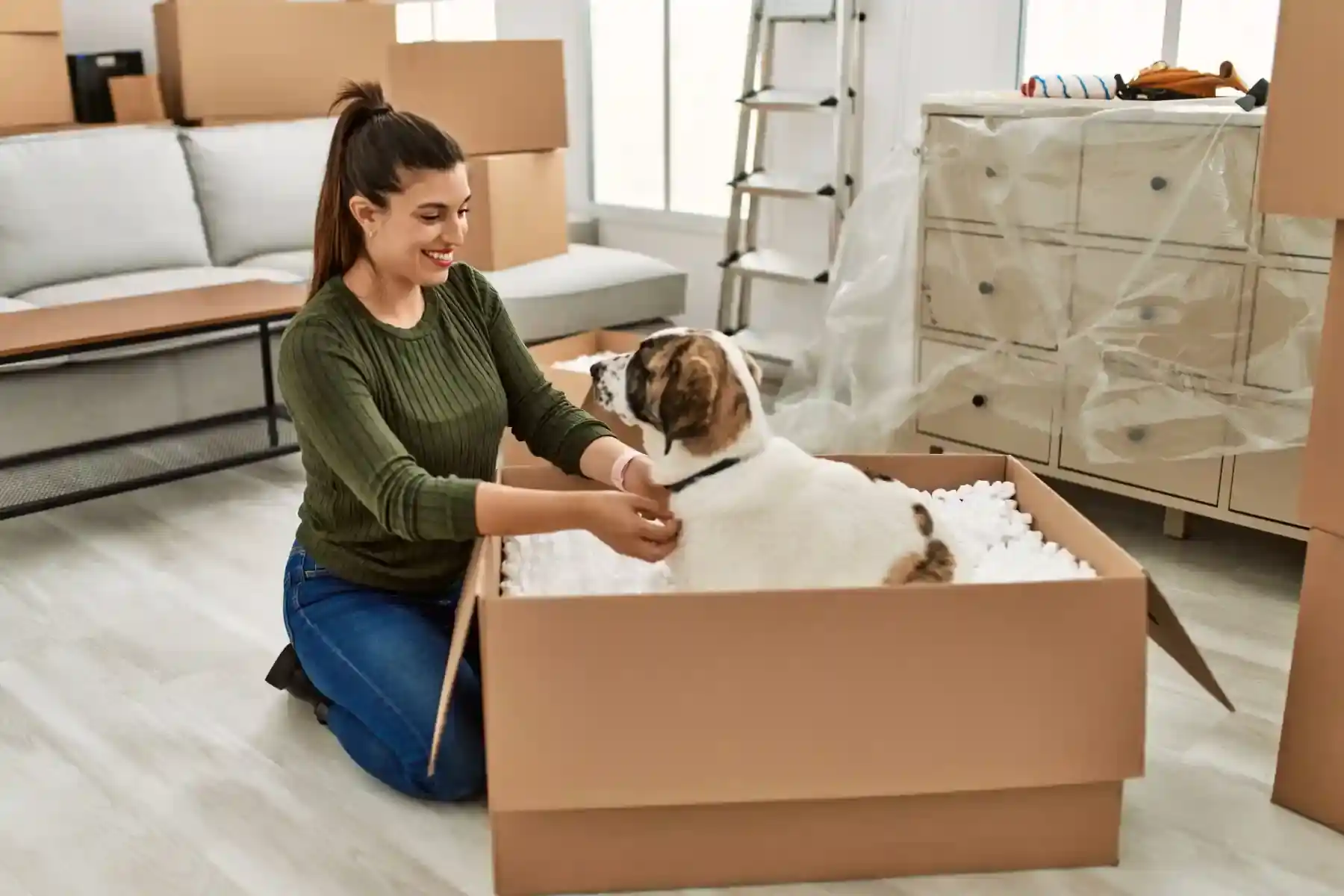Removalists Wollongong to Tasmania and Tasmania to Wollongong