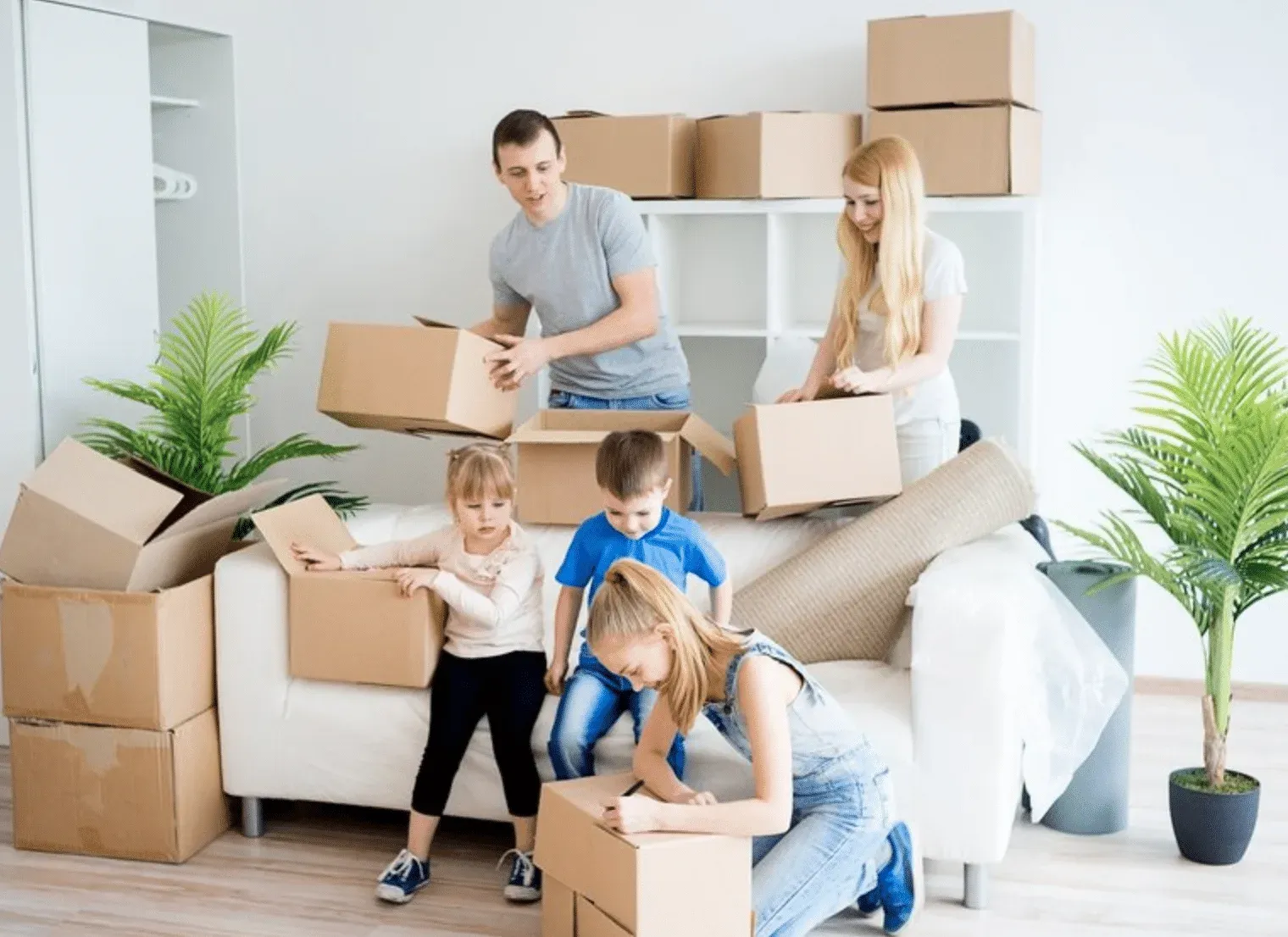 Packing boxes for a Wollongong to Bathurst move