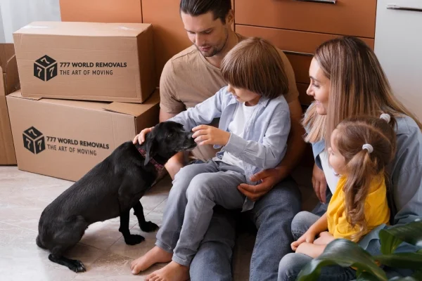 Removalists Wollongong Wollongong Removals Interstate Removalists Wollongong